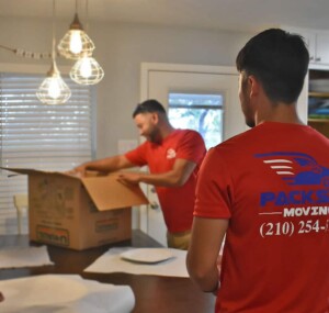 professional movers in san antonio professional movers in san antonio